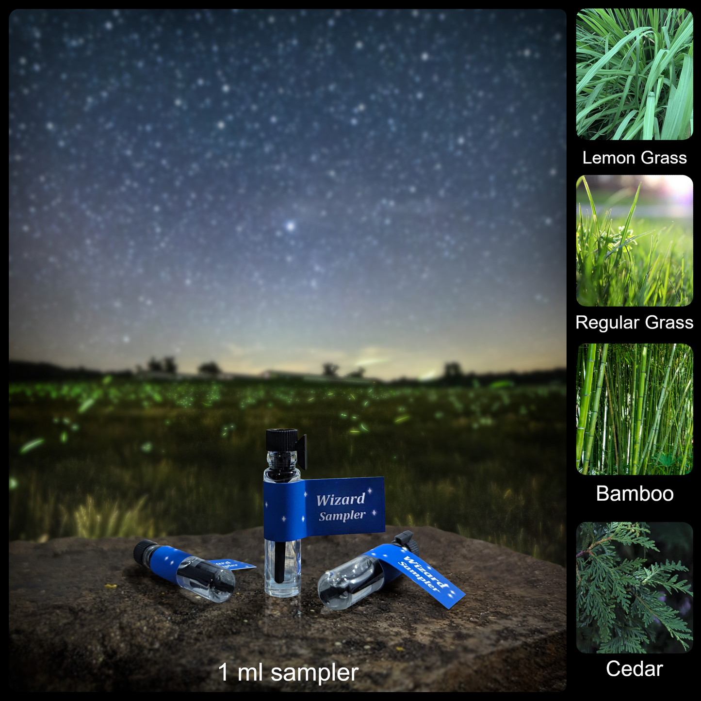 The Perfume Sampler Bundle