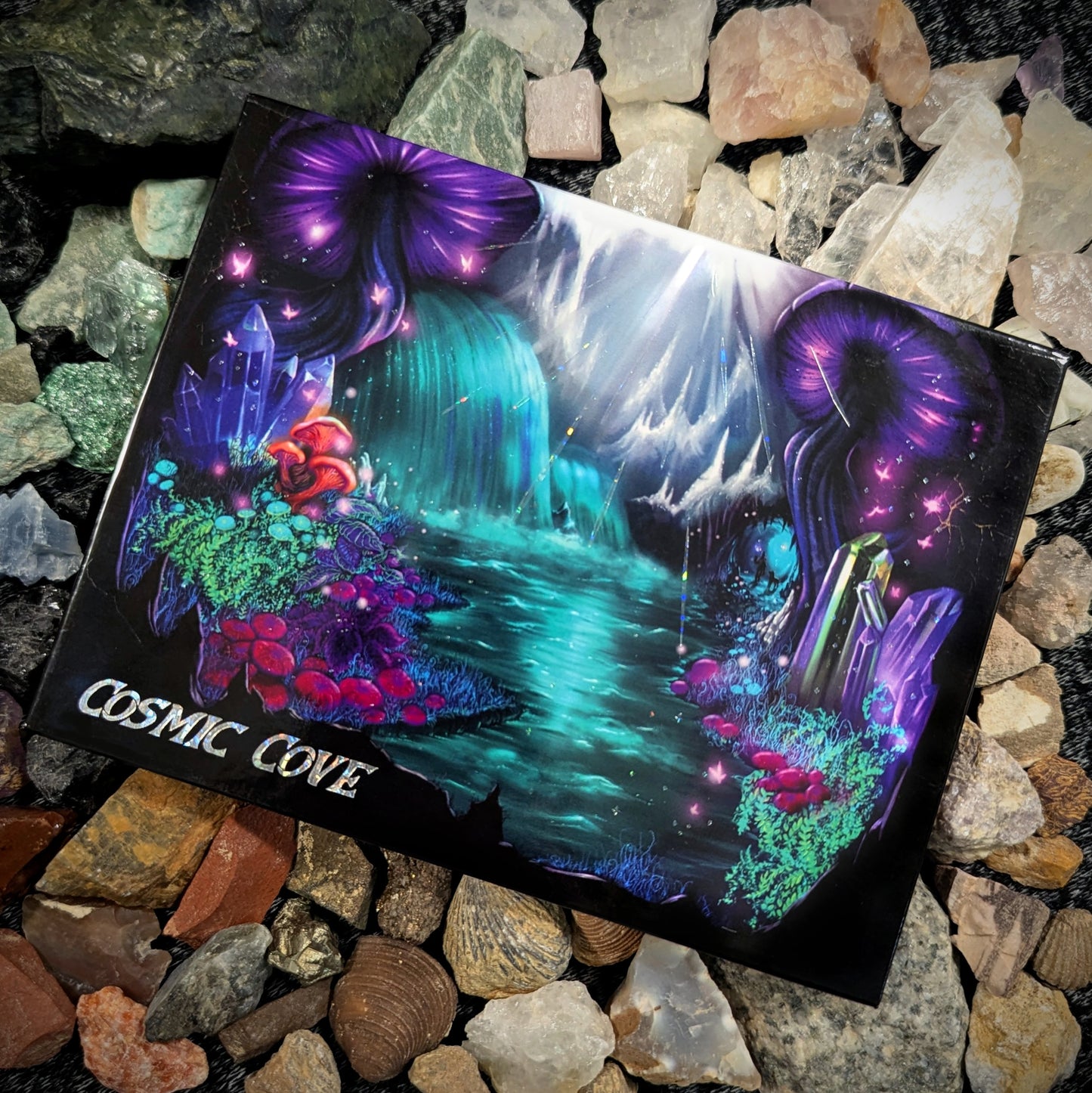 Cosmic Cove